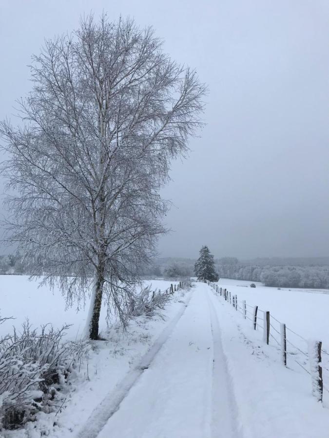 Gite Du Cheval Blanc A Houmont Sainte-Ode Екстериор снимка