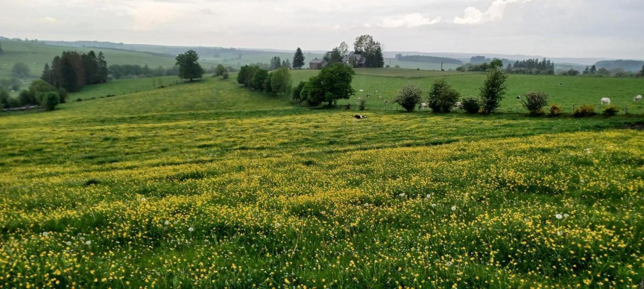 Gite Du Cheval Blanc A Houmont Sainte-Ode Екстериор снимка