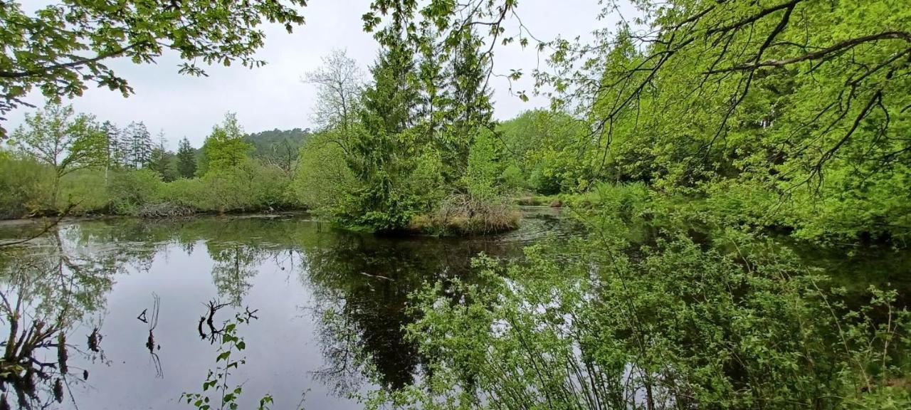 Gite Du Cheval Blanc A Houmont Sainte-Ode Екстериор снимка